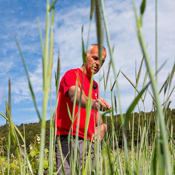 Domaine Jaume Vinsobres HVE environnement