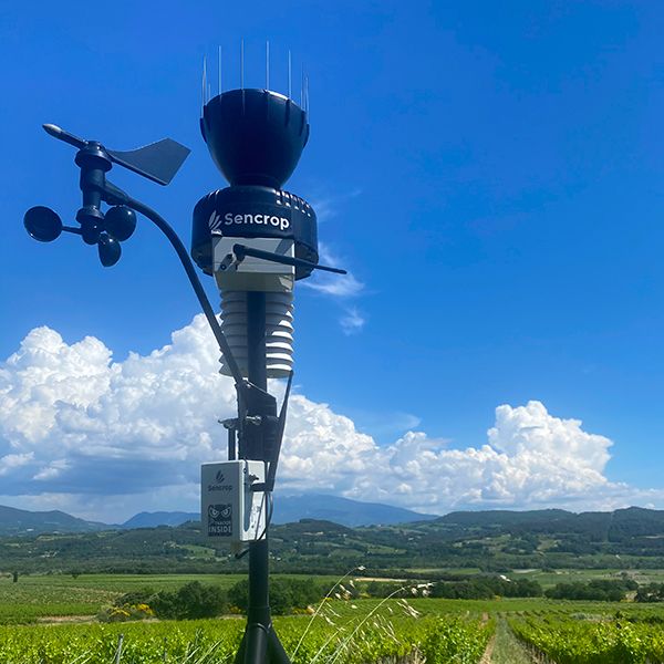 haute valeur environnementale Domaine Jaume Vinsobres