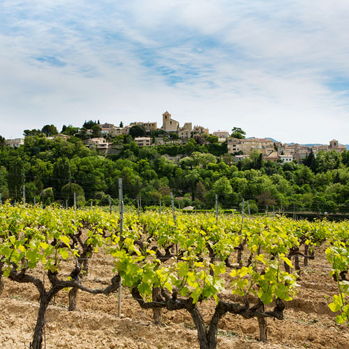 vinsobres domaine jaume