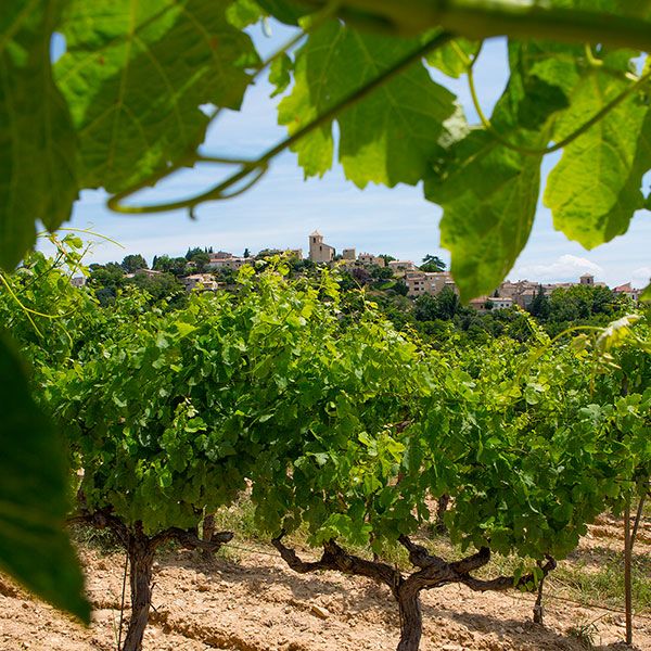 domaine jaume vinsobres